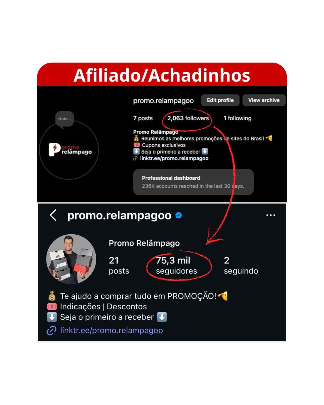 Afiliado Achadinhos - 2.063 para 75 mil seguidores